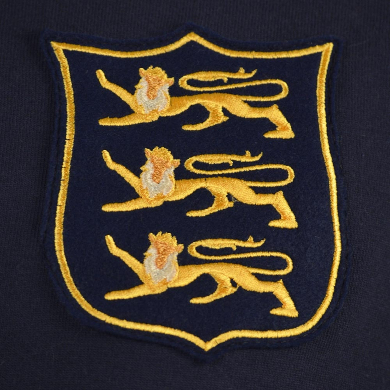 british and irish lions retro shirt
