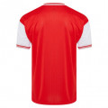 Arsenal retro shirt 1985 centenary back